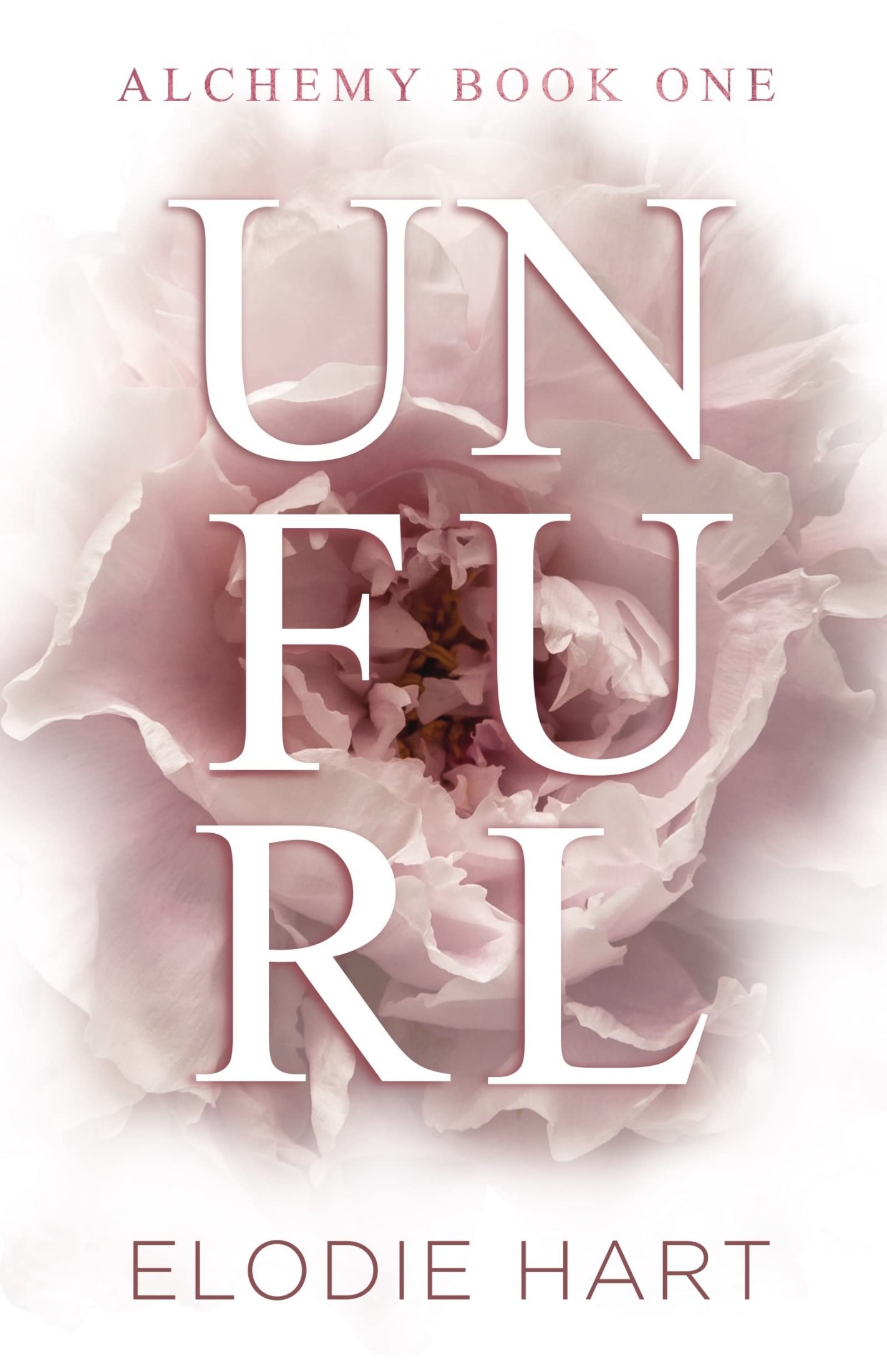 Unfurl: A Hot Age Gap Romance (Alchemy Book 1)